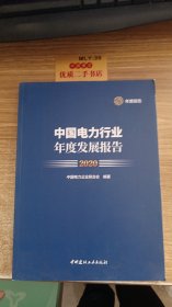 中国电力行业年度发展报告（2020）货号：U3123(1)