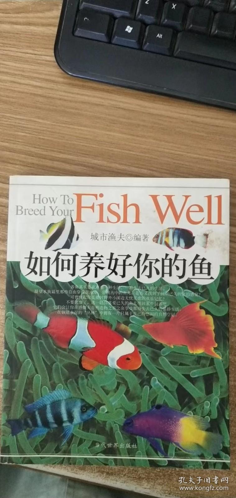 如何养好你的鱼