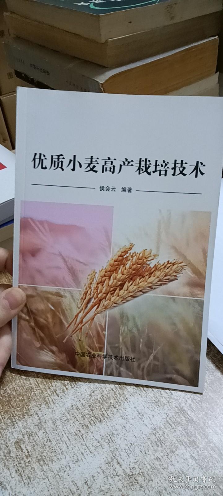 优质小麦高产栽培技术