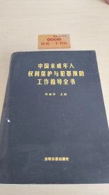 中国未成年人权利保护与犯罪预防工作指导全书1