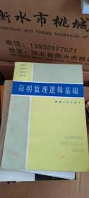 簡明數(shù)理邏輯基礎(chǔ)