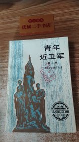 青年近卫军（第二部）