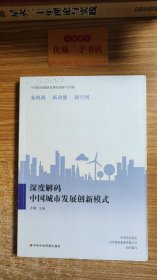 深度解码中国城市发展创新模式