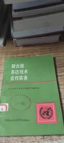 聯(lián)合國多邊技術(shù)合作實務(wù)