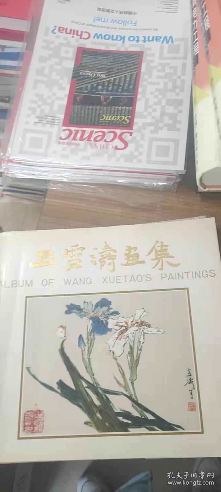 王雪涛画集