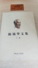 陈锦华文集下册