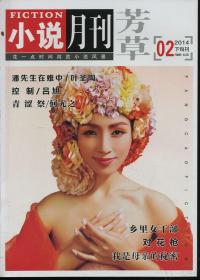 芳草小说月刊2014.2下旬刊