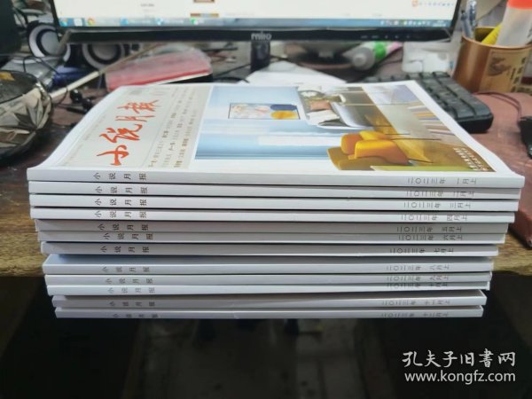 小说月报 2023年1-12期 上半月刊