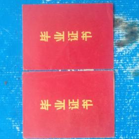 毕业证书 （两张一对。合售。山东济南）