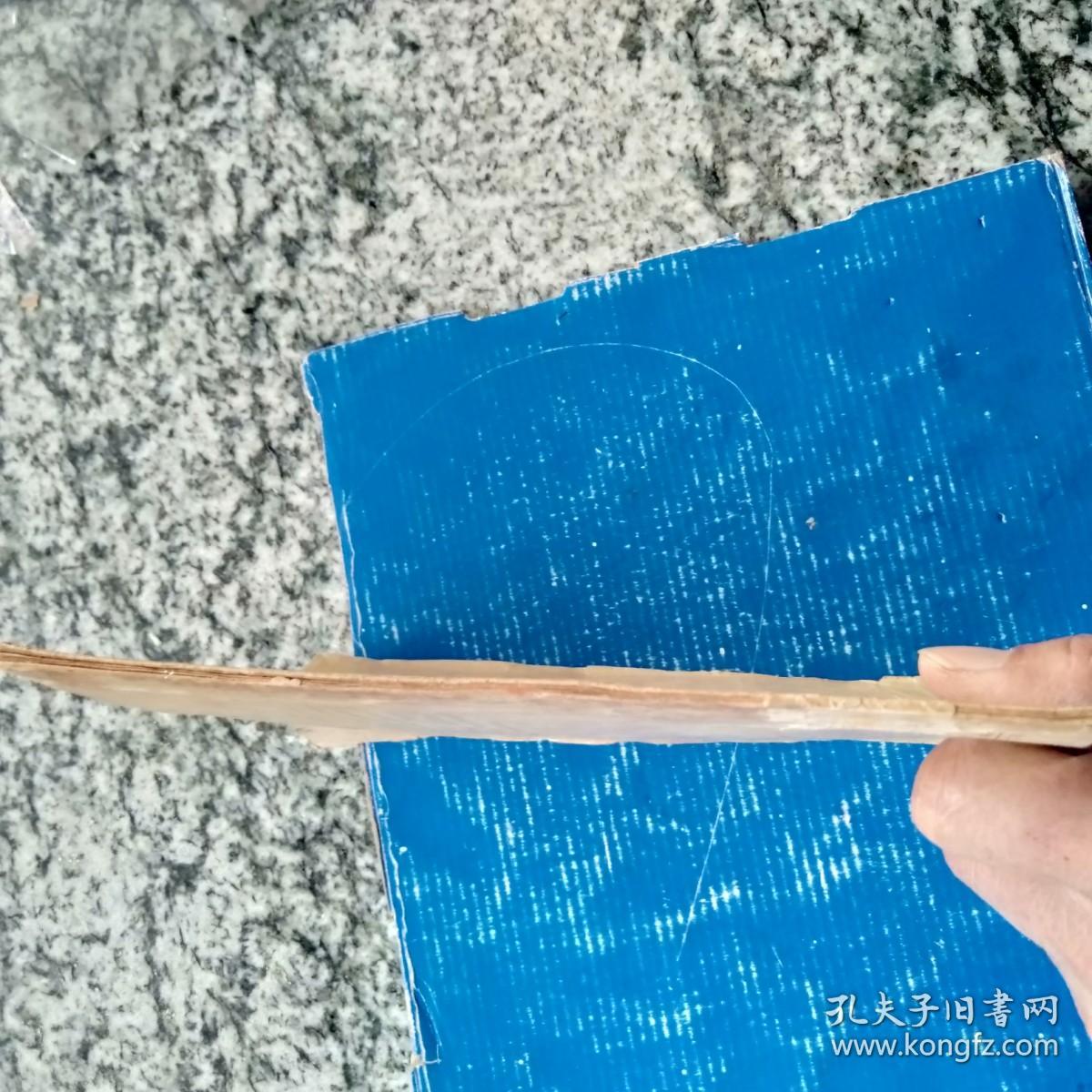 渔哥礁