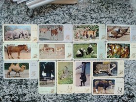 中国珍贵动物  卡片 （14张）