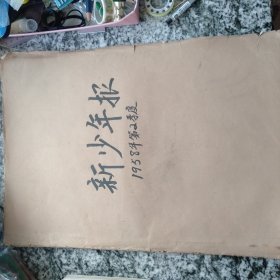新少年报  （1958年4-6月存12期）