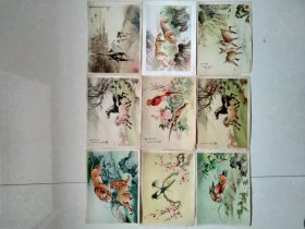 戈湘岚 ：花鸟走兽 （16开 精美画片 活页 特价）9张