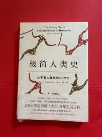 极简人类史：从宇宙大爆炸到21世纪