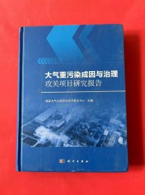 大气重污染成因与治理攻关项目研究报告