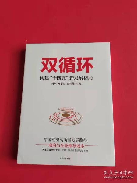 双循环构建十四五新发展格局双循环与我们的关系樊纲作品国家高端智库出品政府和企业推荐读本