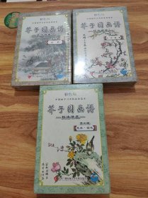 芥子园画谱技法讲座 (全三辑) 彩色版 第一辑 山水 +第二辑 兰竹梅菊 +第三辑 花卉翎毛 VCD 全套总计36碟装（全新未拆封）