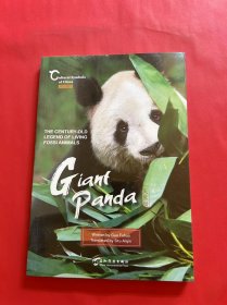 中国人文标识系列：大熊猫，国宝的百年传奇（英文版）（全新未拆封）