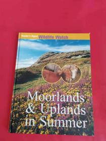 Moorlands & Uplands in Summer