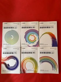 美国注册财务策划师（RFP）教材:财务策划原理（上中下）+高级财务策划（上中下）六册合售