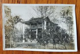 民国经典老照片--柳州柳侯祠的柑香亭。民国原版照片极少见