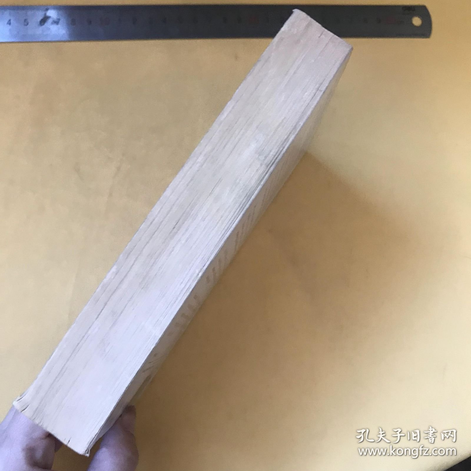 英文原版 苏菲的世界 Sophie's World