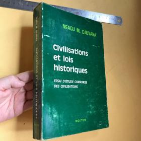法文       学术专著  civilisations et lois historiques