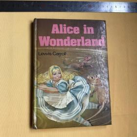 英文                  精美插图本   Alice in Wonderland