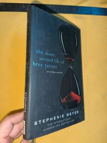 英文   the short second life of bree fanner