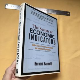 英文   精美插图本  经济指标的秘密   THE SECRETS OF ECONOMIC INDICATORS