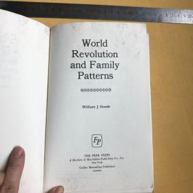 英文       学术专著  World Revolution and Family Patterns