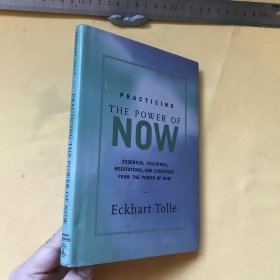 英文   Practicing THE POWER OF NOW