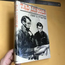 英文             TAD LINCOLN