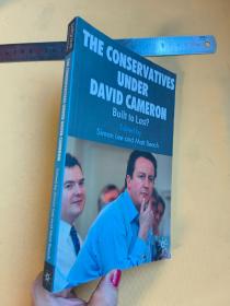 英文    The Conservative under David Cameron: Build to Last?