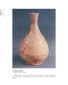 吉州窑  中国古代名窑  名窑名瓷专业陶瓷艺术书籍 瓷器鉴赏收藏鉴定指南书 余家栋/刘杨著 耿宝昌/涂华主编      考古研究资料文献 收藏鉴赏鉴定工艺陶瓷瓷器工具书字典（正版新书 ）