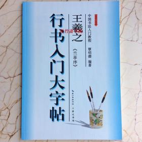 柳公权神策军碑玄秘塔碑 楷书 入门大字帖武道湘中国书法教程 （正版新书）