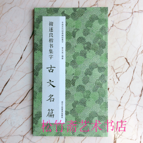 褚遂良楷书集字古文名篇  中国历代经典碑帖集字  收录集字古文名篇11篇  苏轼前赤壁赋 秋声赋 毛笔楷书书法字帖作品集 （正版新书 一版一印）