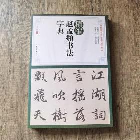 精编赵孟頫书法字典工具书 赵孟頫行书楷书毛笔字帖洛神赋赤壁赋胆巴碑  马守国编写 (正版新书 一版一印)