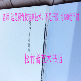 隋代墓志精粹六 杨纪墓志、杨文愻墓志、杨孝偡墓志、杨素墓志、杨文端墓志、杨矩墓志、杨文思墓志等七种。    整张拓片 全文放大 楷书毛笔书法字帖 (正版新书包邮 一版一印)