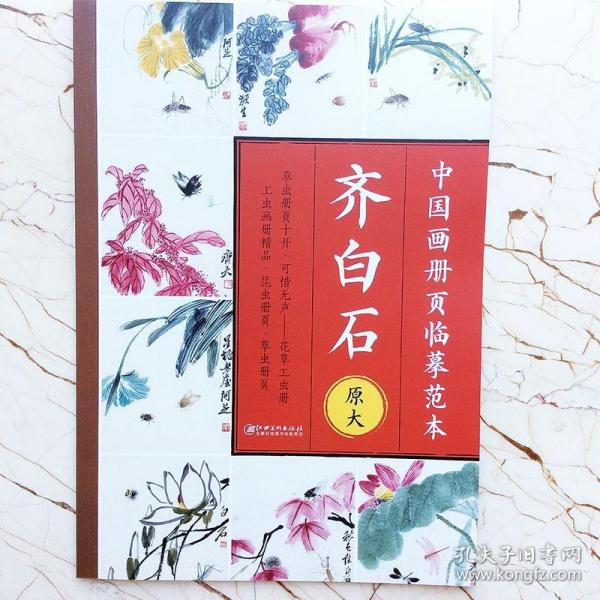 齐白石中国画册页临摹范本原大高清还原印刷本 《草虫册页十开》《可惜无声一花草工虫册》《工虫画册精品  》《昆虫册页》（节选）《草虫册页》（节选）等  中国现代画作品集   (正版新书 一版一印)