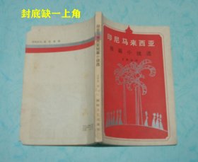 印尼马来西亚短篇小说选（1986-06一版一印2220册馆藏85品/见描述）