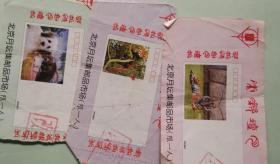 北京月坛邮市门票三张狗虎熊猫
