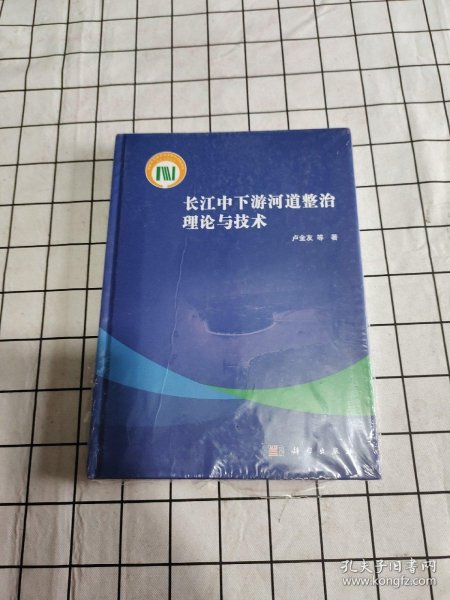 长江中下游河道整治理论与技术