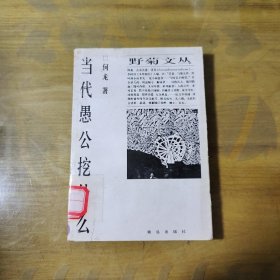 当代愚公挖什么