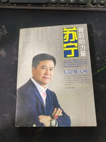 苏宁：背后的力量--信息化天梯