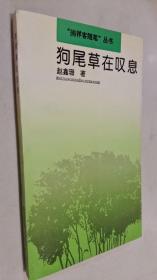 狗尾草在叹息