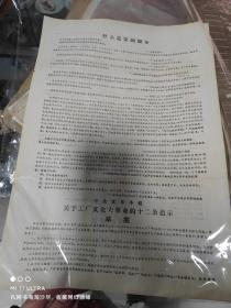 66年首都大专院校西南革命造反队《中央**小组关于工厂*****的12条指示》