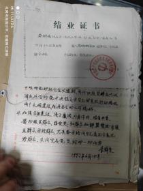98年中国共产党成都市青羊区《结业证书，申请书，转正申请，报告，调查资料等》