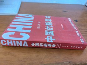 中国的新革命：1980-2006年，从中关村到中国社会