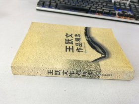 王跃文作品精选